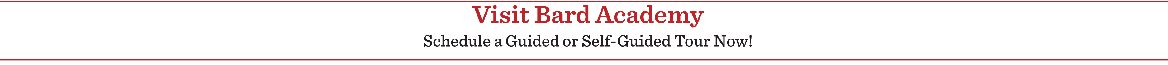Visit Bard Academy